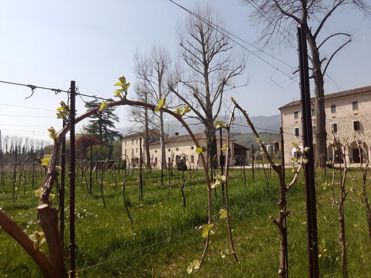 Agriturismo La Bella Follina Exterior photo
